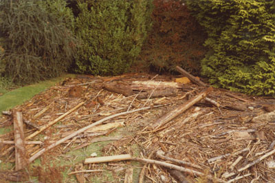 Damaged Garden at 570 18th Street