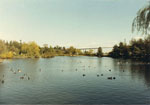 Ambleside Lagoon