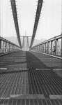 Lions Gate Bridge Under Construction