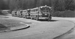 Buses nos. 41-44