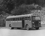 Bus no. 35