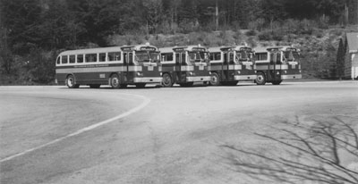 Buses nos. 41-44