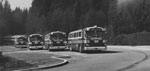 Buses nos. 41-44