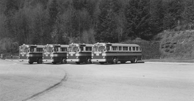 Buses nos. 41-44