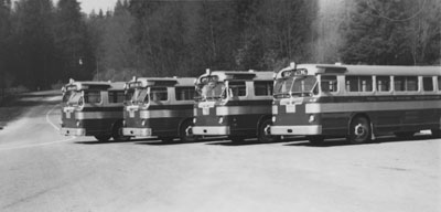 Buses nos. 41-44