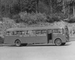 Bus no. 35