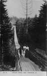 Postcard of Capilano Bridge