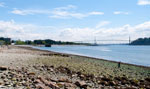 Lions Gate Bridge from Ambleside Beach