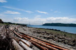 Lions Gate Bridge from Ambleside Beach