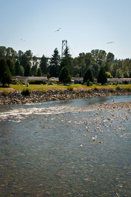 Capilano River & Lions Gate Bridge