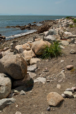 Mini Inukshuks Along Ambleside Beach