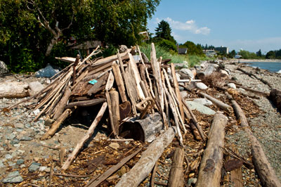 Driftwood Fort on Ambleside