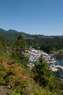 View of Fisherman's Cove