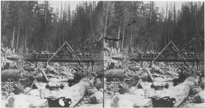 Wooden Bridge Over Capilano River