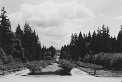 Taylor Way & Entrance to British Properties