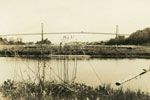 Lion's Gate Bridge from Ambleside Slough