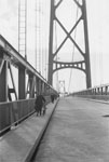 Construction of Lions Gate Bridge