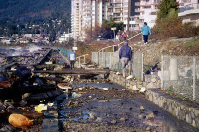 Storm Debris on Sea Walk