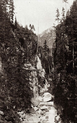 Capilano Canyon