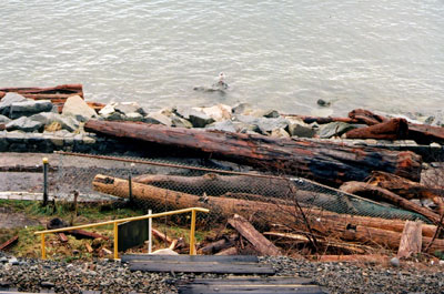 Debris on Centennial Seawalk