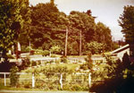 WVML Garden (1950's)