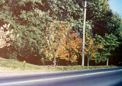 Memorial Park (1950's)