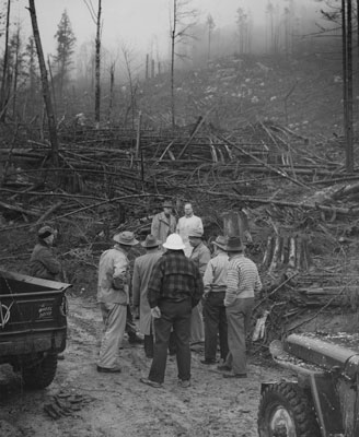 West Vancouver Council Member, George Thompson and others, survey clearing on Hollyburn Mountain