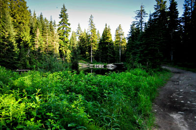 First Lake Near Hollyburn Lodge