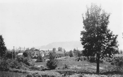 View of Ambleside Looking Towards Stanley Park