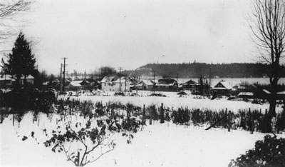 View of Ambleside Looking Towards Stanley Park