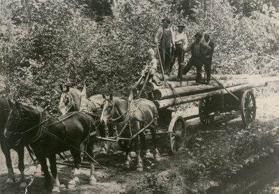 Logging