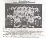 Waterloo Siskins 1980-81 OHA