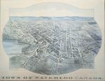 1891 Town of Waterloo Map