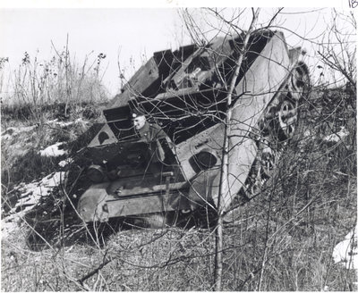 Sunshine Waterloo Company Limited, British Universal Carrier