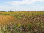 August 2009 - Before the groundbreaking