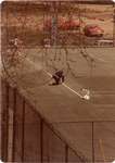 Preparing Waterloo Tennis Club Courts for 1982 Season