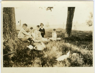 Picnic by Alexandra Avenue