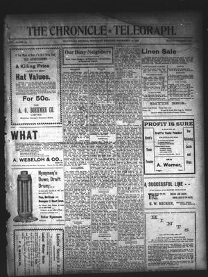 The Chronicle Telegraph (190101), 20 Nov 1902