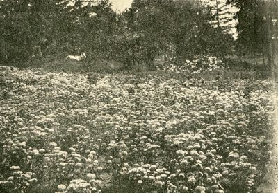 View of Ontario Seed Company's Farm