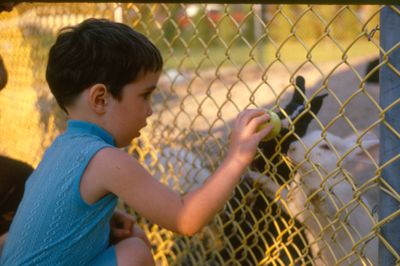 Boy Feeding Rabbits at Waterloo Park