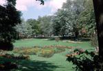 Gardens at Waterloo Park