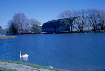 Waterloo Memorial Arena from Silver Lake