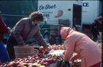 Waterloo County Farmers' Market, Apple Stall