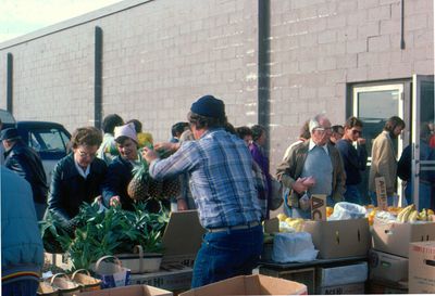 Waterloo County Farmers' Market, Pineapple Vendor