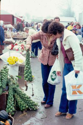 Waterloo County Farmers' Market, Brussels Sprouts Shopping