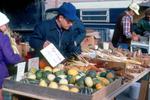 Waterloo County Farmers' Market, Squash and Corn Vendor