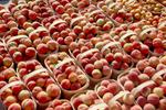 Waterloo County Farmers' Market, Peaches