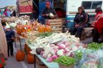Waterloo County Farmers' Market, Fall Produce