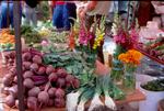 Waterloo County Farmers' Market, Assorted Produce