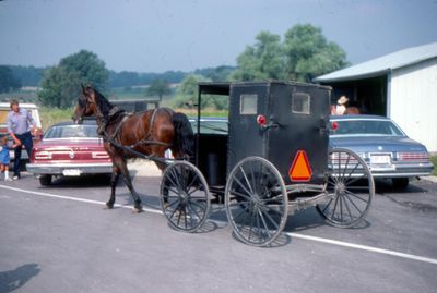 Waterloo County Farmers' Market, Buggy and Cars